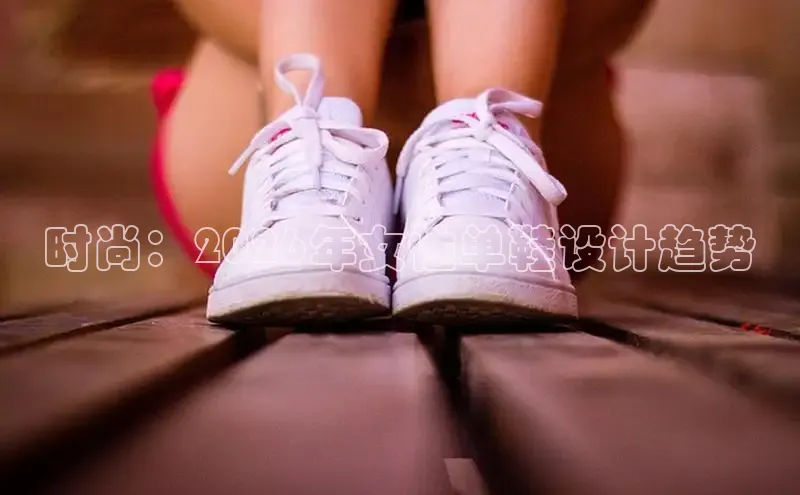 蜘蛛直播